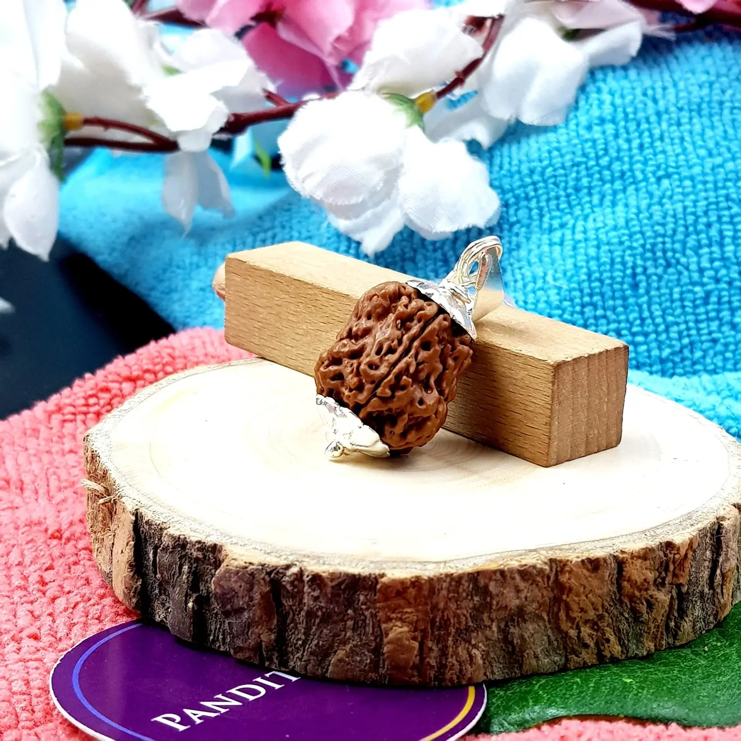 Real Rudraksha
